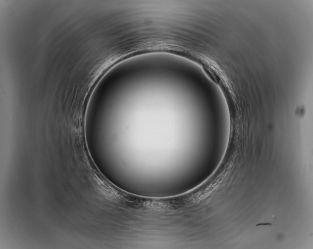 X0000101171089200806271028