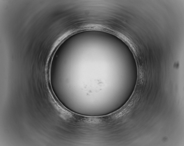 X0000101171090200806271028