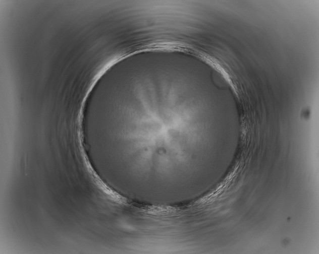 X0000101171091200806271028