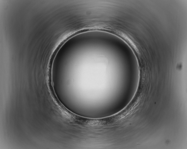 X0000101171093200806271028