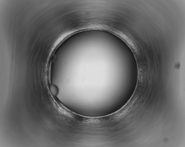 X0000101171094200806271028