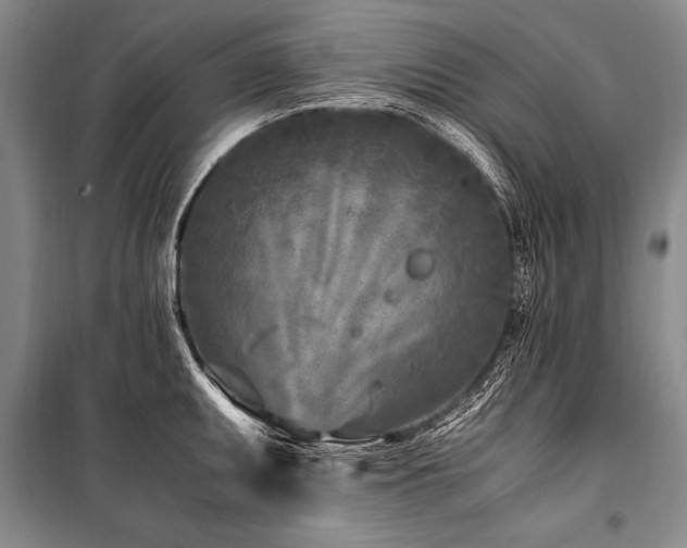X0000101171095200806271028