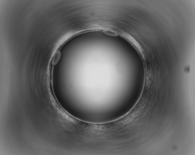 X0000101171096200806271028