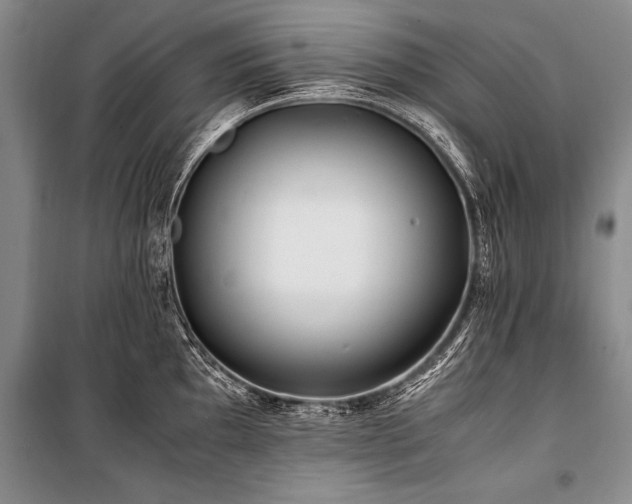 X0000101171097200806271028