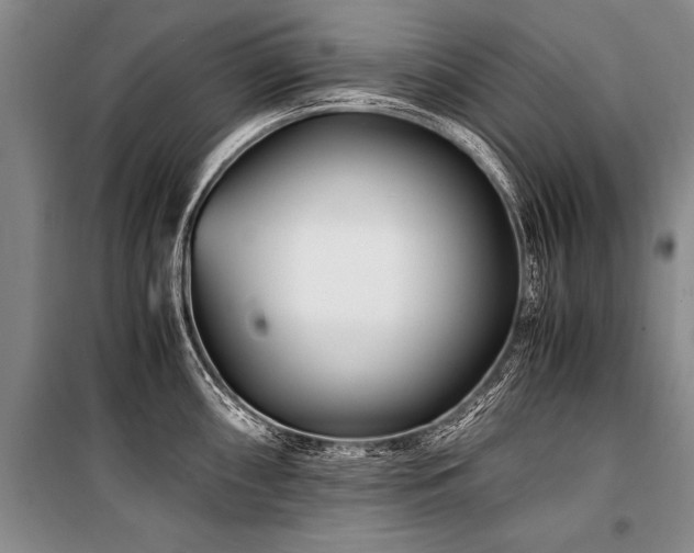 X0000101171098200806271028