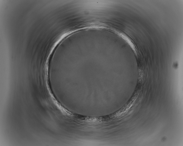 X0000101171099200806271028