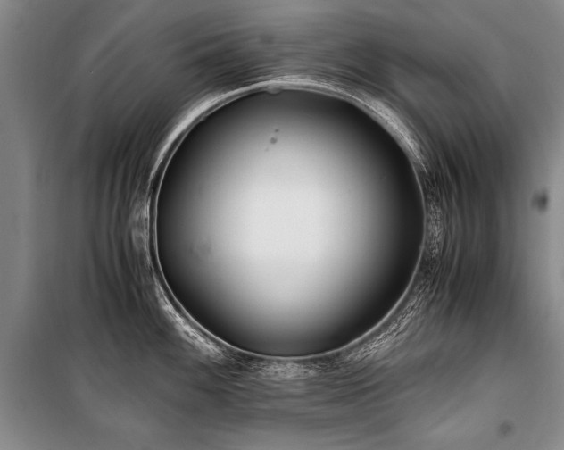 X0000101171100200806271028