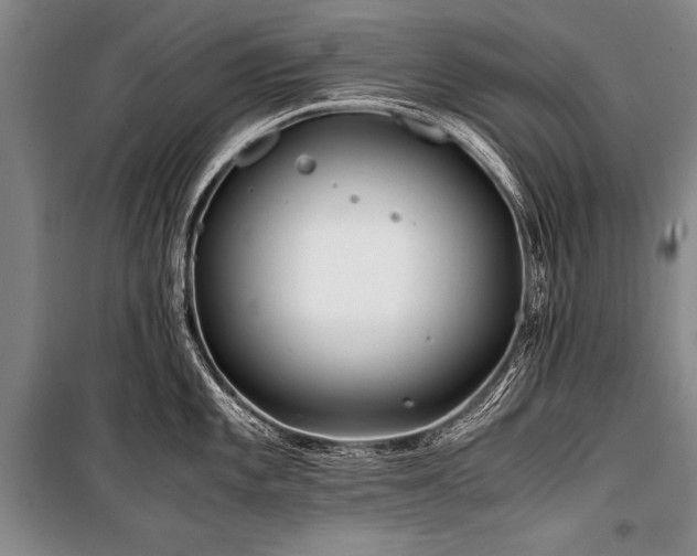 X0000101171101200806271028