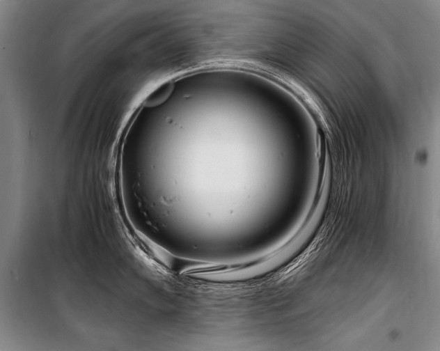 X0000101171102200806271028