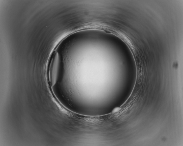 X0000101171103200806271028
