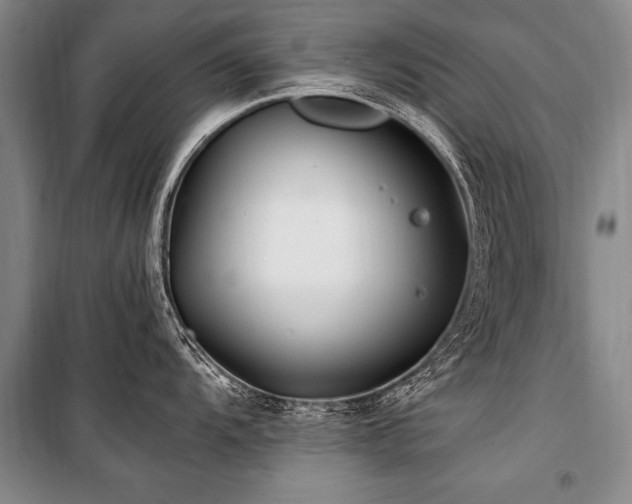 X0000101171104200806271028