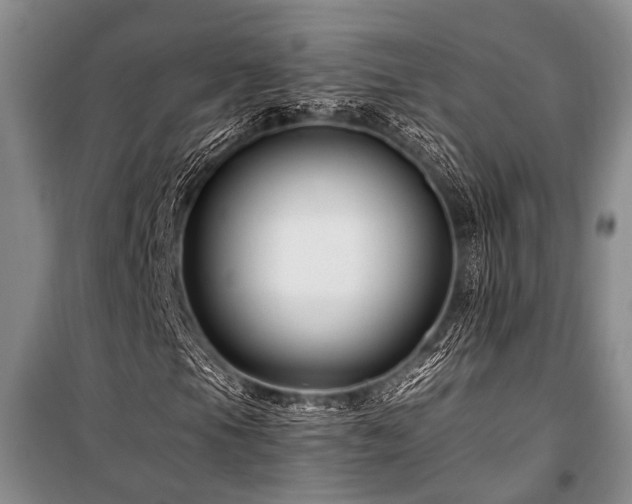 X0000101171105200806271027