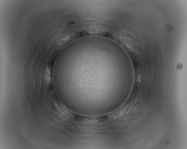 X0000101171106200806271027