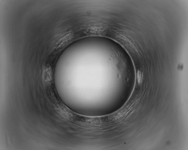 X0000101171107200806271027