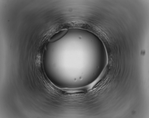 X0000101171108200806271027