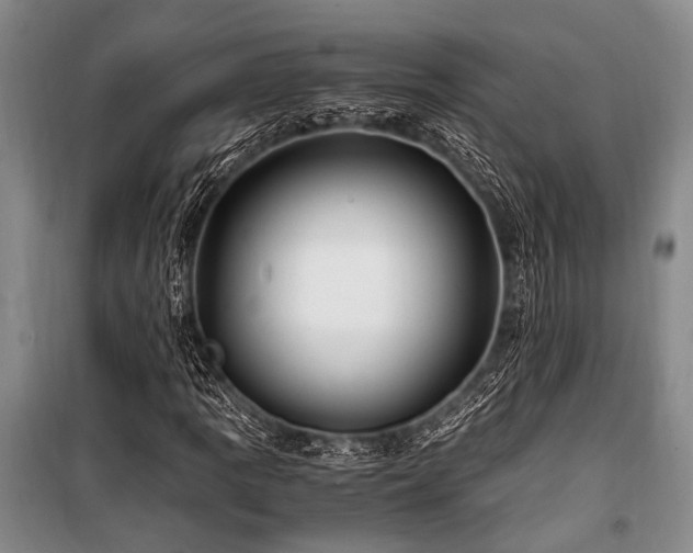 X0000101171109200806271027