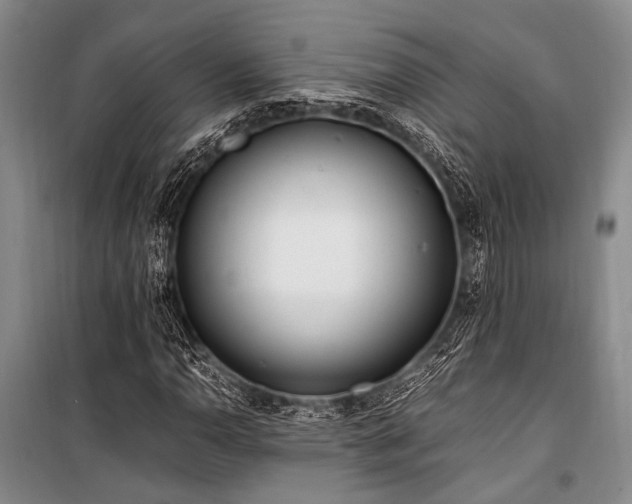 X0000101171110200806271027