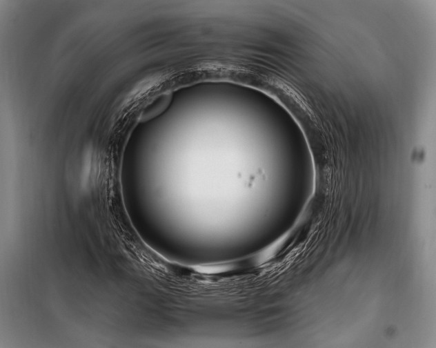 X0000101171111200806271027