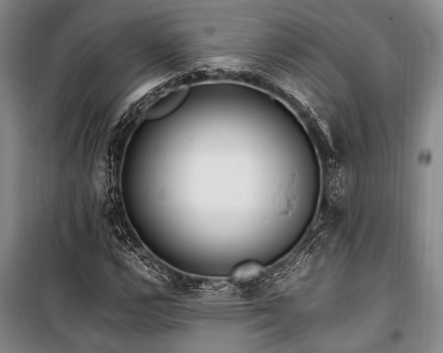 X0000101171112200806271027