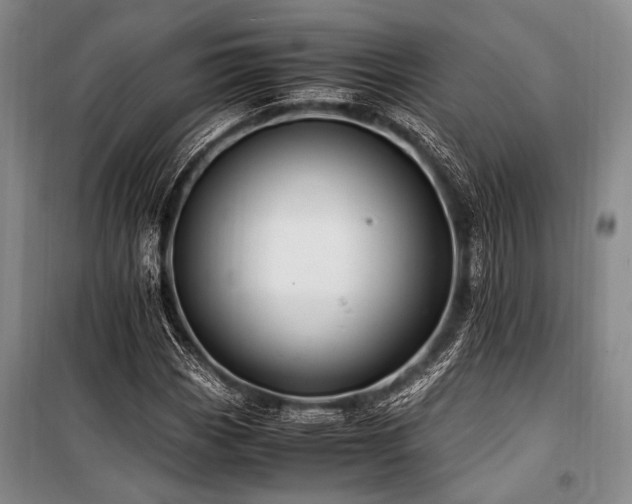 X0000101171113200806271027