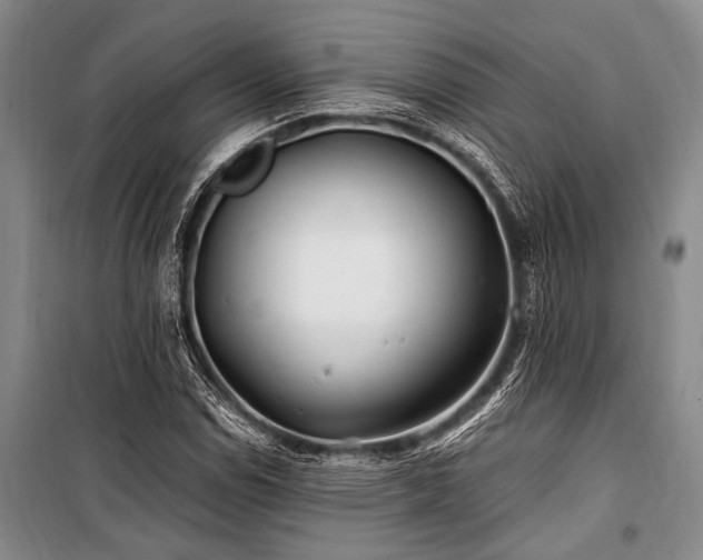X0000101171114200806271027