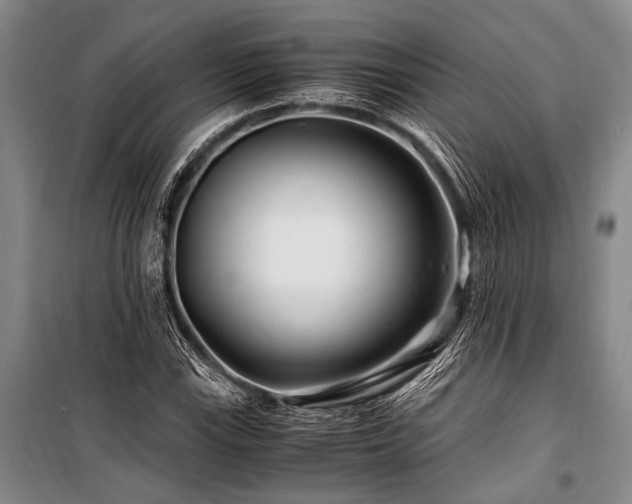 X0000101171115200806271027