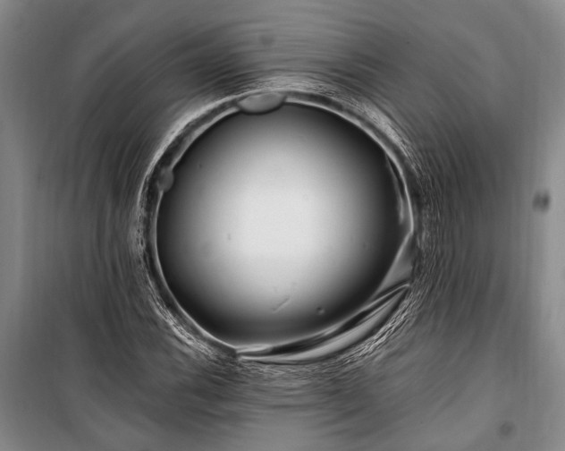 X0000101171116200806271027