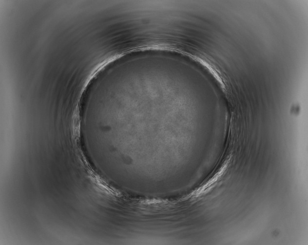 X0000101171117200806271027