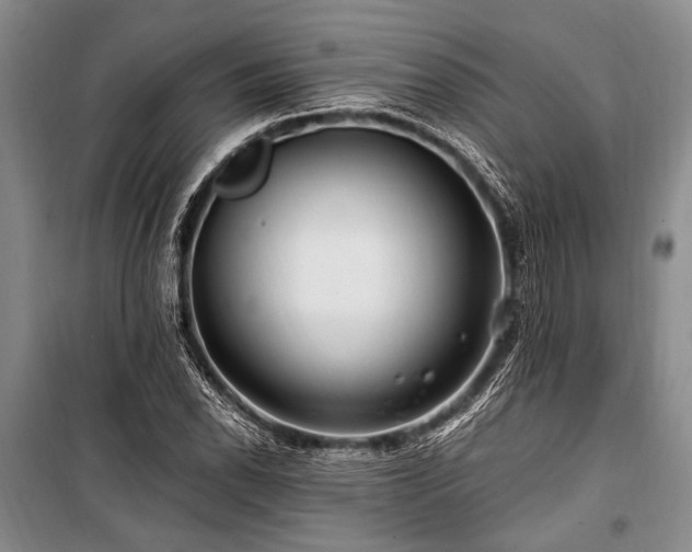 X0000101171118200806271027