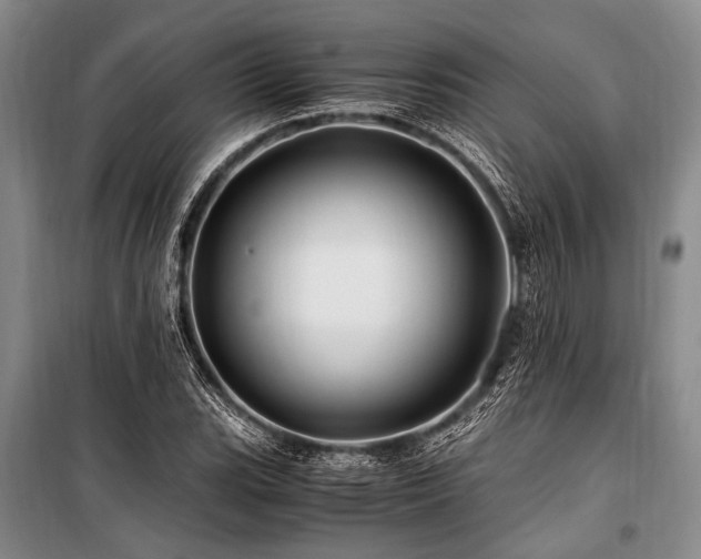X0000101171119200806271027