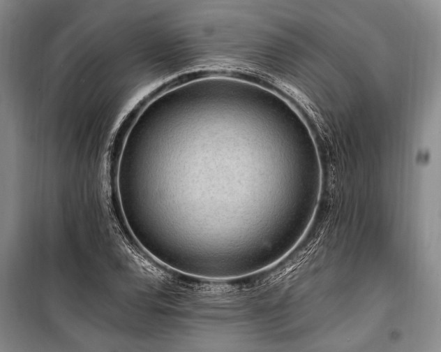 X0000101171120200806271027