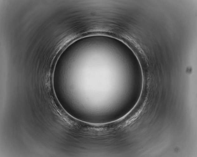 X0000101171121200806271027