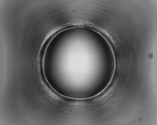 X0000101171122200806271027