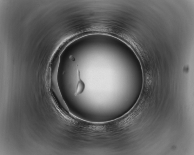 X0000101171123200806271027
