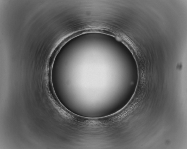 X0000101171124200806271027