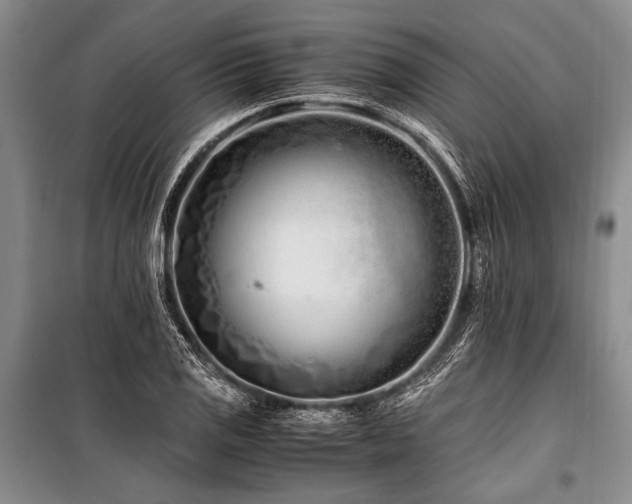 X0000101171125200806271027
