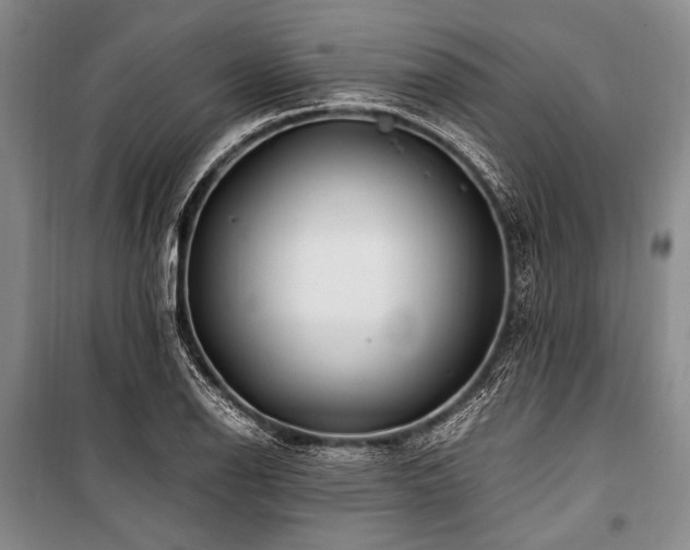 X0000101171126200806271028