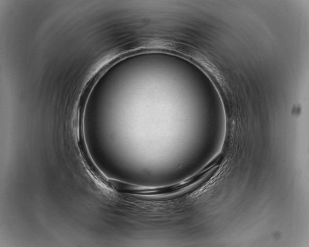 X0000101171127200806271028