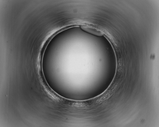 X0000101171128200806271028