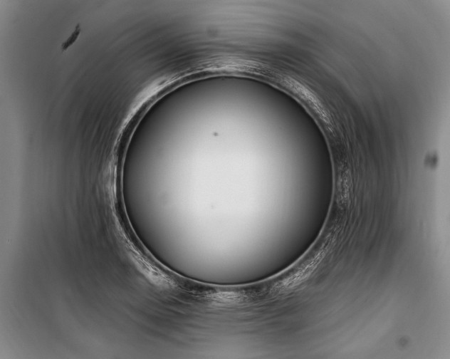 X0000101171130200806271028