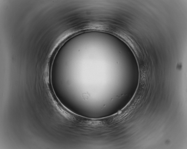 X0000101171131200806271028