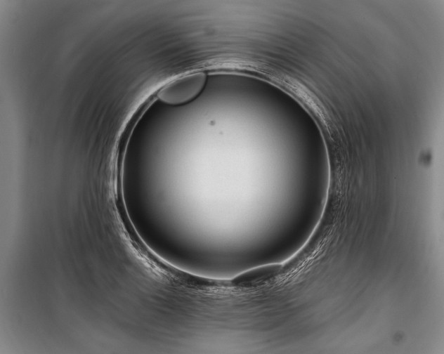 X0000101171132200806271028