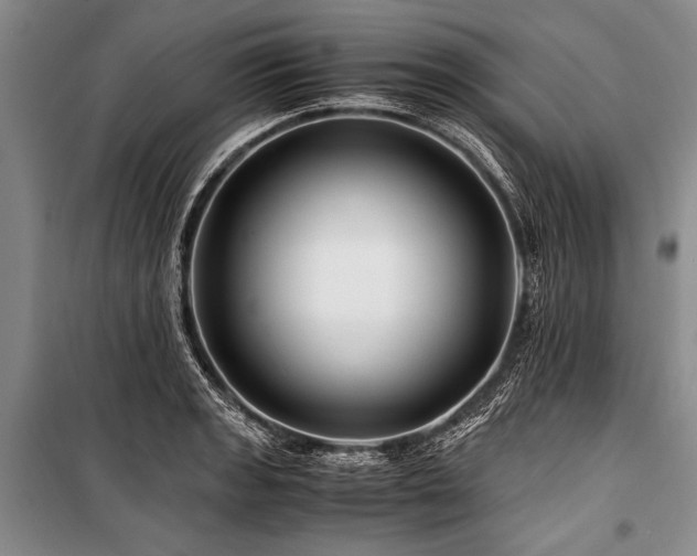 X0000101171133200806271028