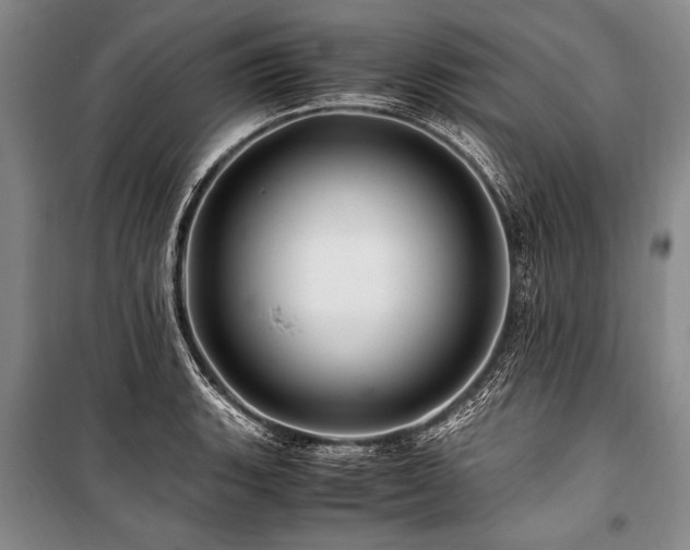 X0000101171135200806271028