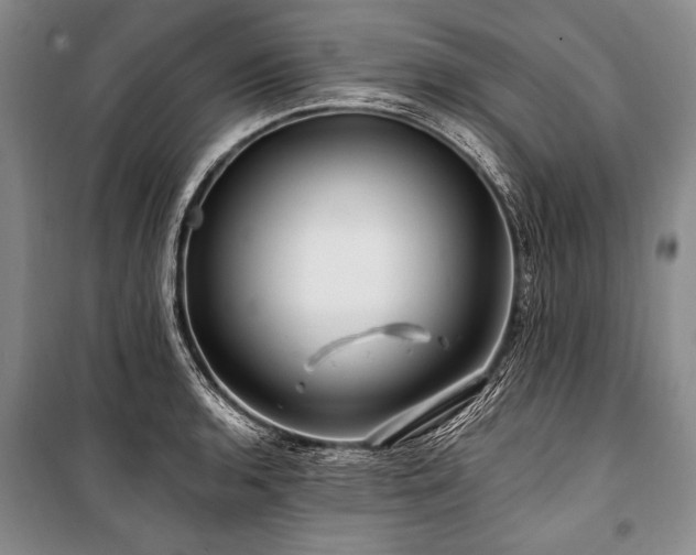 X0000101171136200806271028