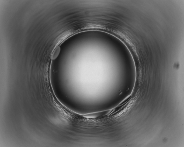 X0000101171137200806271028