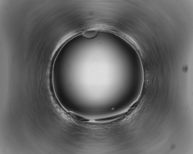 X0000101171138200806271028