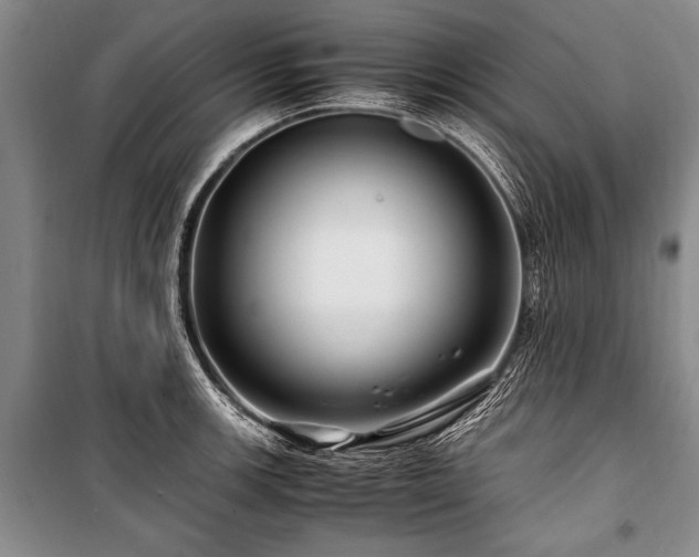X0000101171139200806271028