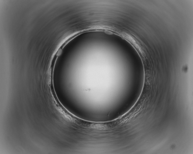 X0000101171140200806271028