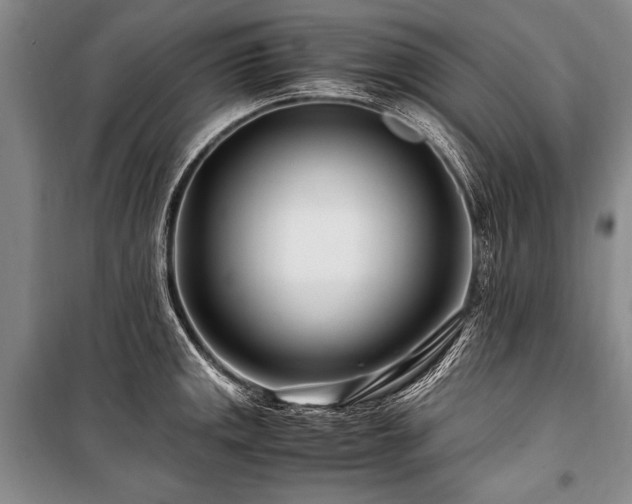 X0000101171141200806271028